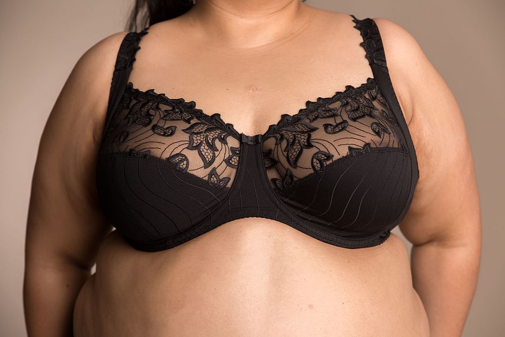 Best Plus Sized Bras